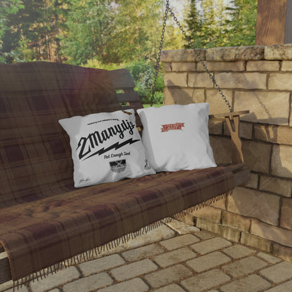 2 Many DJs Pillow